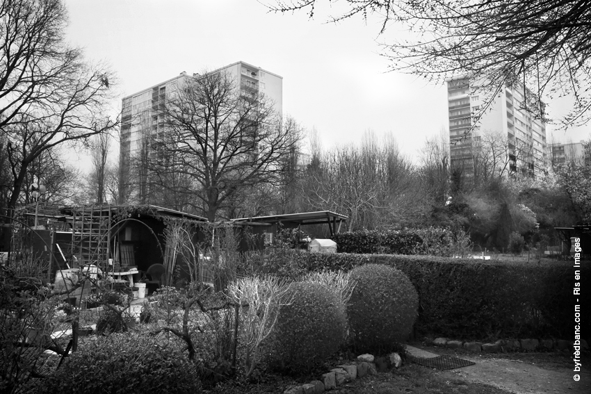 ris-orangis-en-images-les-jardins-familiaux-160319-markiii-548